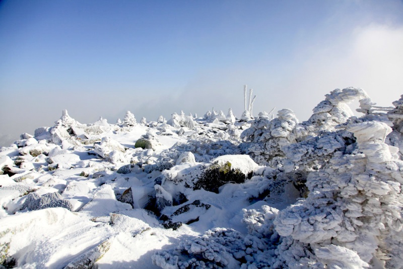 登山登顶洛南第一峰11月28日秦岭雪登顶草链岭观壮美石海壮美草甸雪景