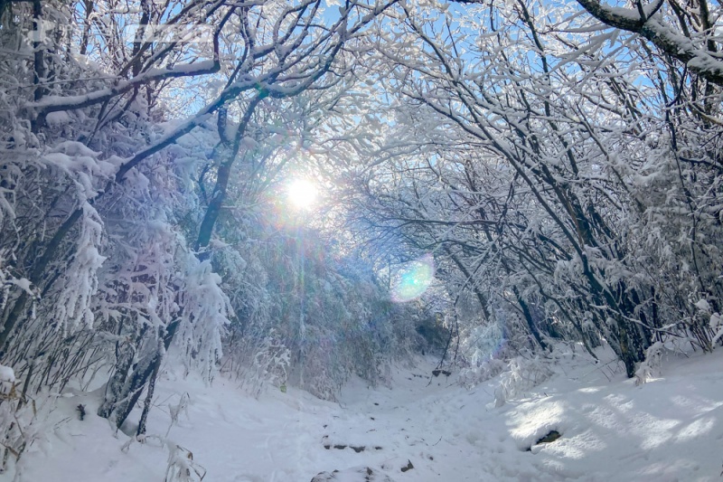 【登山| 秦岭馀雪】3月7日 东坪沟穿越东佛沟 冬