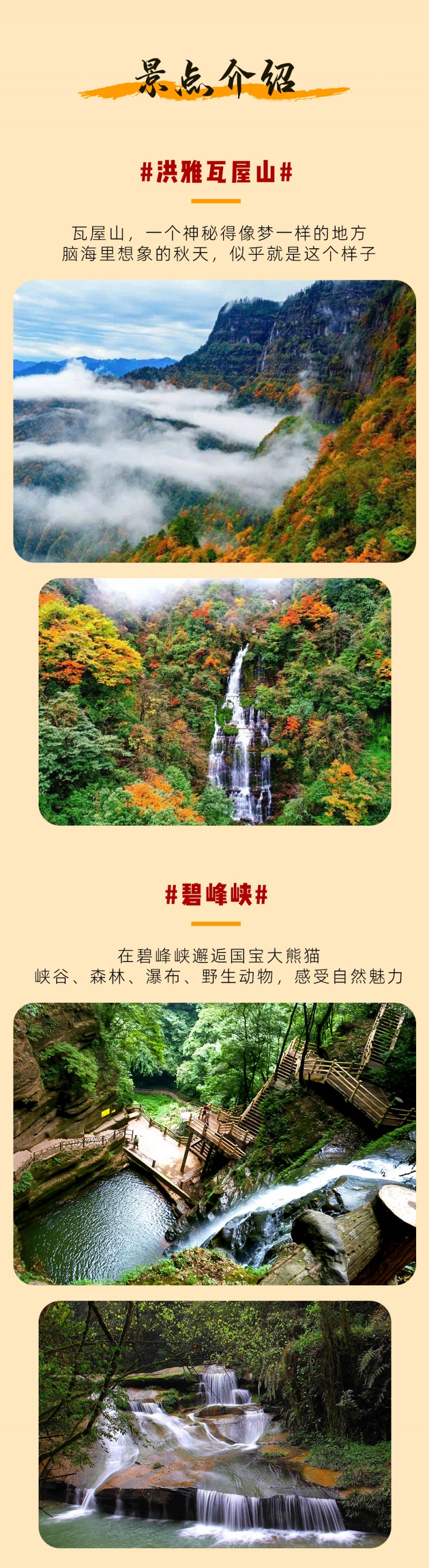 巴蜀秋色-瓦屋山彩林季-亮点图-2024-3 巴蜀秋色-瓦屋山彩林季-亮点图-2024-3