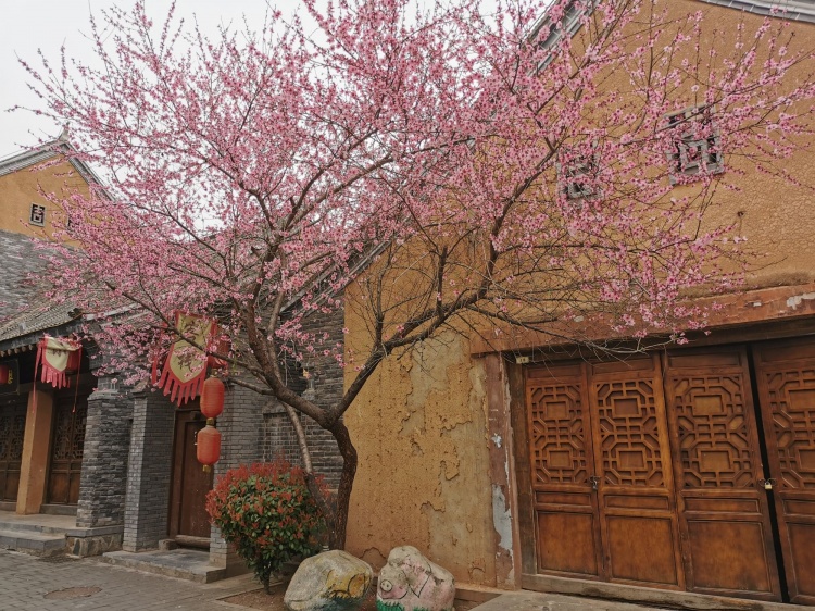 丹凤桃花谷&贾平凹故居棣花古镇