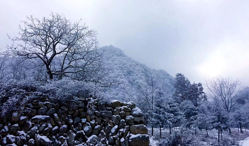 微信图片_20181224165459 - 副本