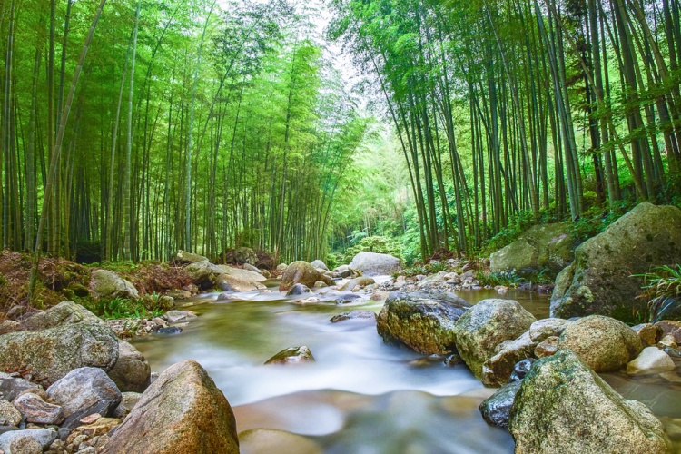 栖隐禅寺