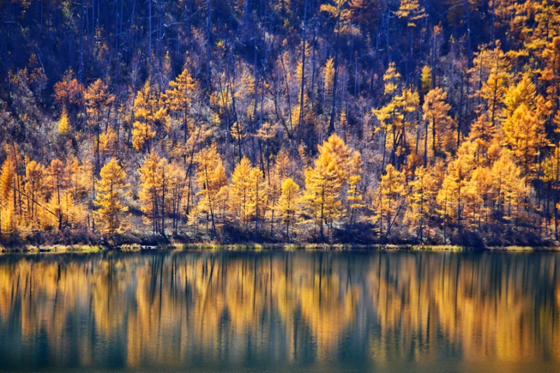 阿尔山.乌苏浪子湖