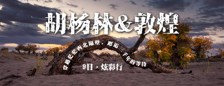 胡杨林9日 胡杨林9日