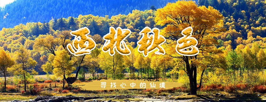 西北秋色 西北秋色