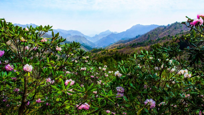 首页轮播图 木王山2