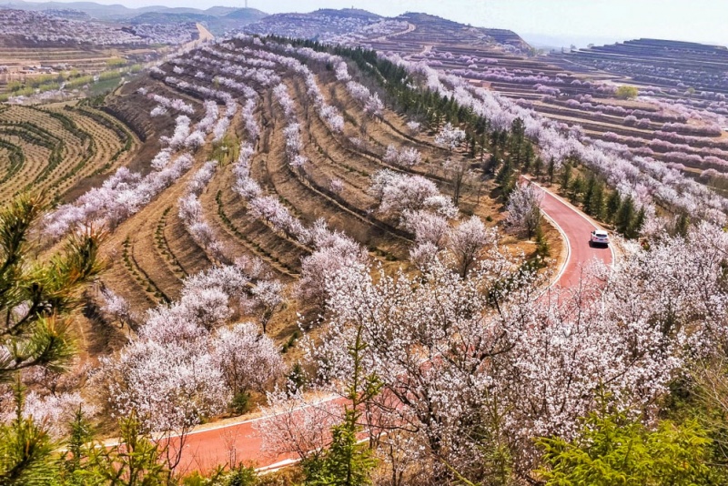 彭阳梯田