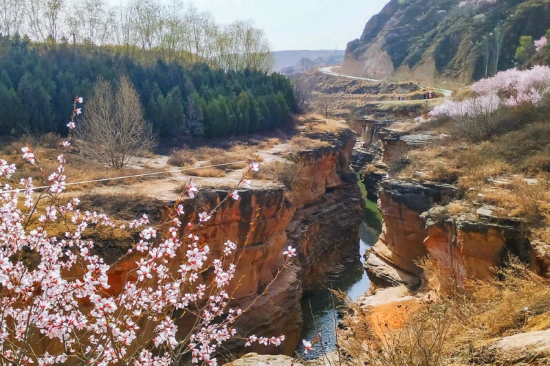 彭阳梯田