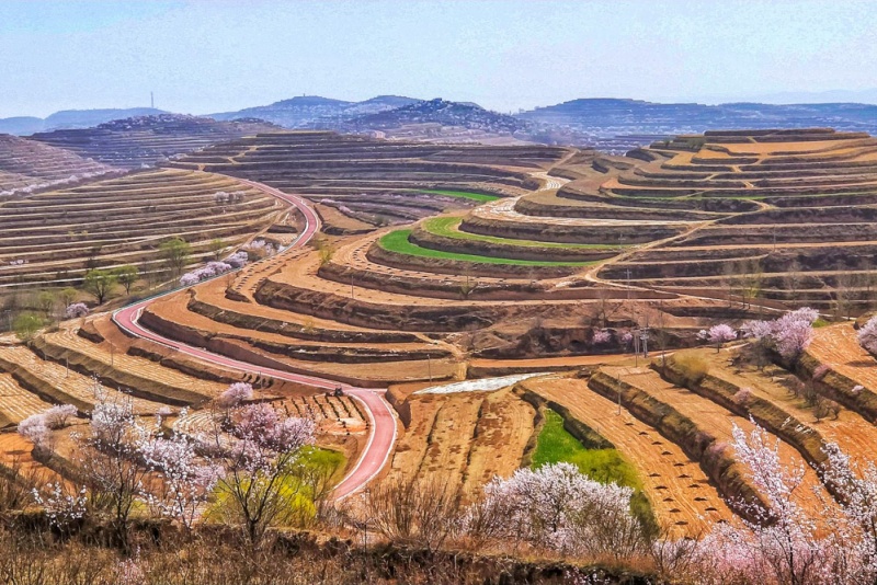 彭阳梯田