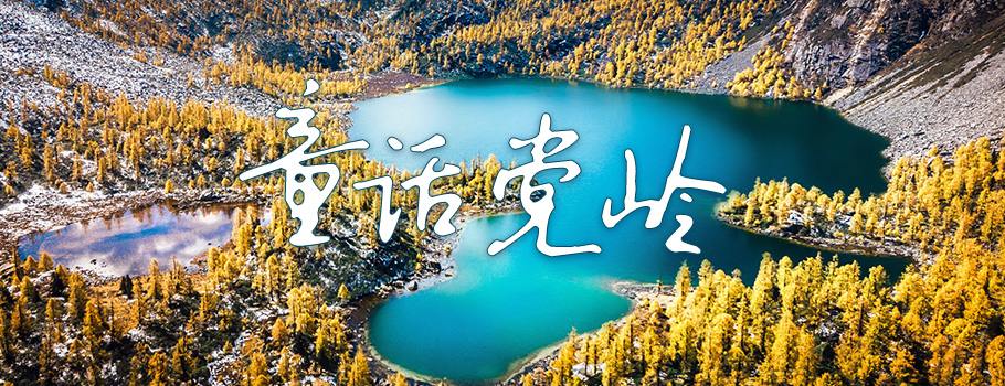 党岭-底部广告图 党岭-底部广告图