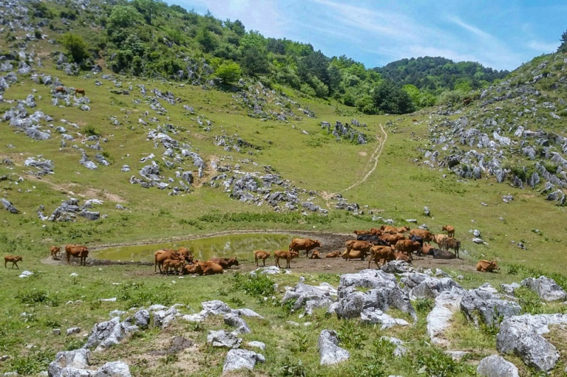 北阳山