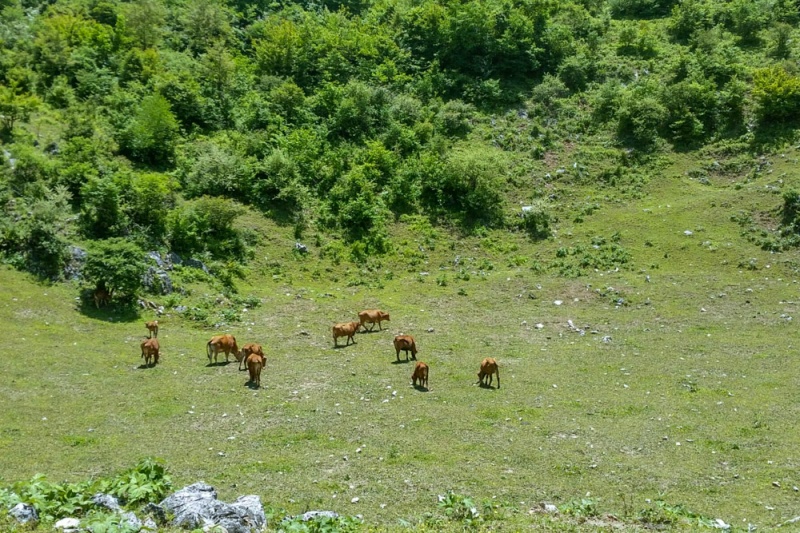 北阳山