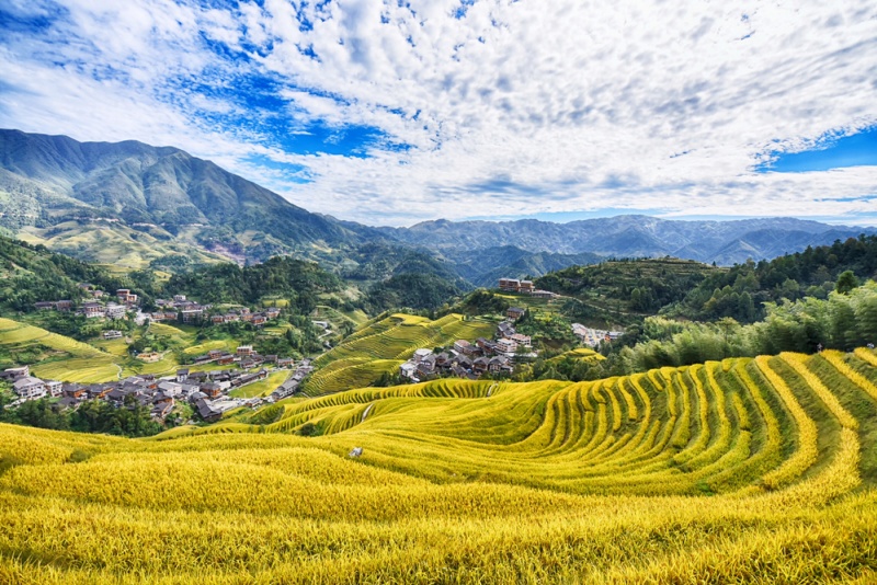 龙脊梯田