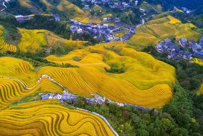 龙脊梯田