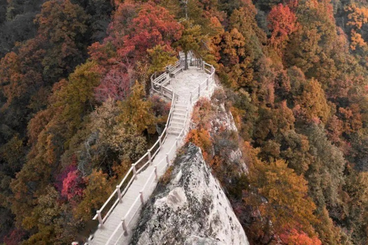 祥峪 秋