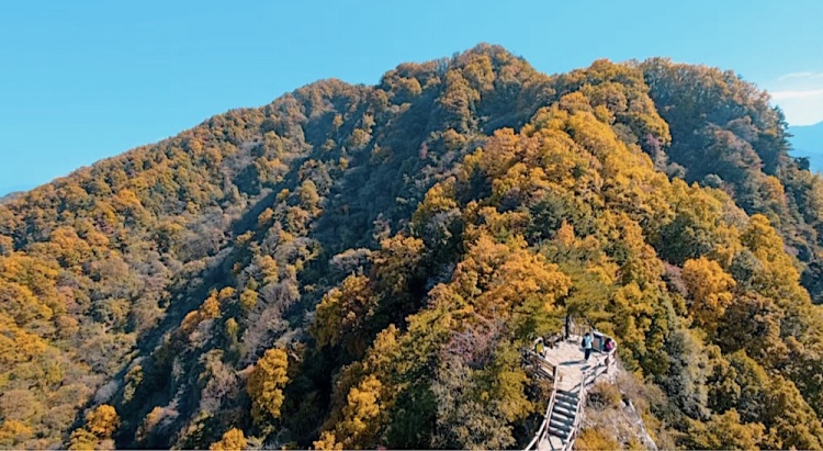 祥峪 秋