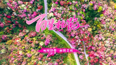 【升级版| 魅力黔西北•醉美百里杜鹃】3-4月 浪漫花海 百里杜鹃  乌蒙大草原 龙宫 乌江寨 乌江源百里画廊 双动6日