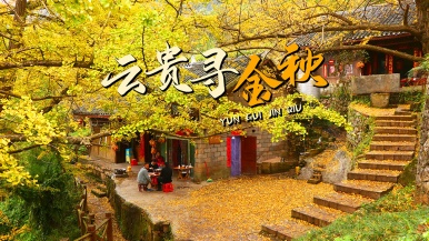 【小众•金秋云贵】10-11月妥乐银杏村 昭通大山包 彝良小草坝 万峰林 马岭河峡谷 会泽念湖 雨碌大地缝 昭通古城7日