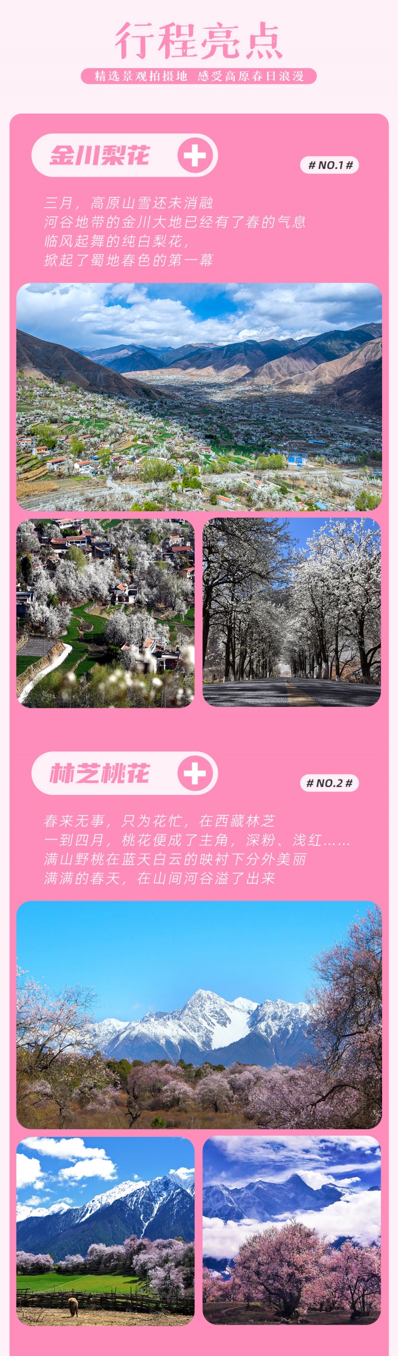 藏地花事-金川-林芝-亮点图-2024-5