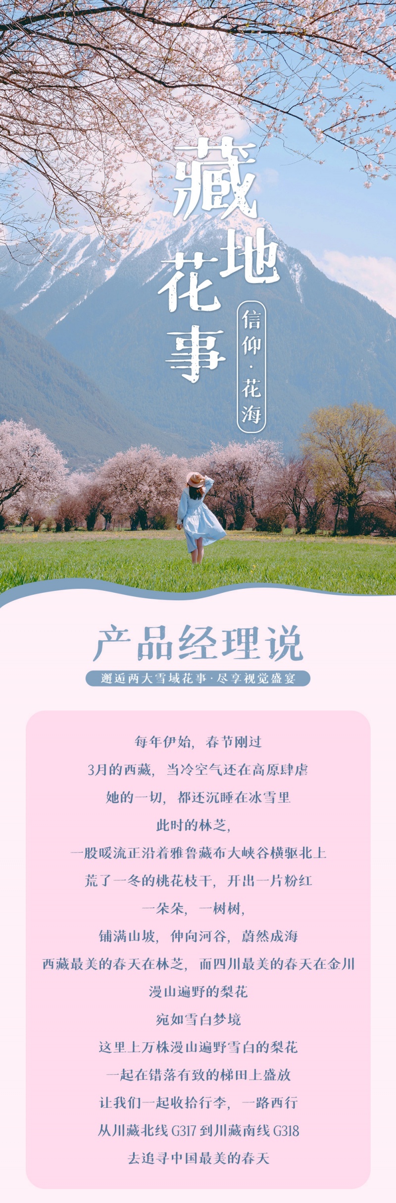 藏地花事-金川-林芝-亮点图-2024-1