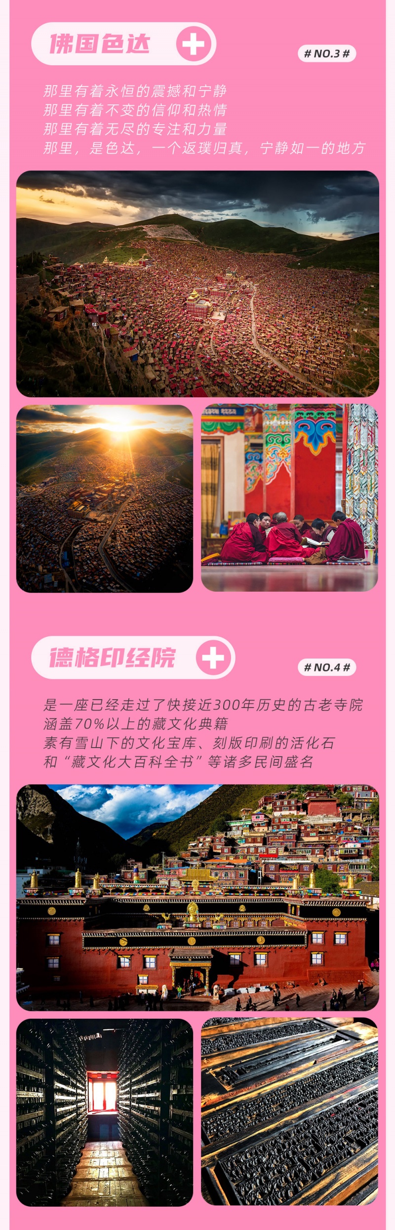 藏地花事-金川-林芝-亮点图-2024-6