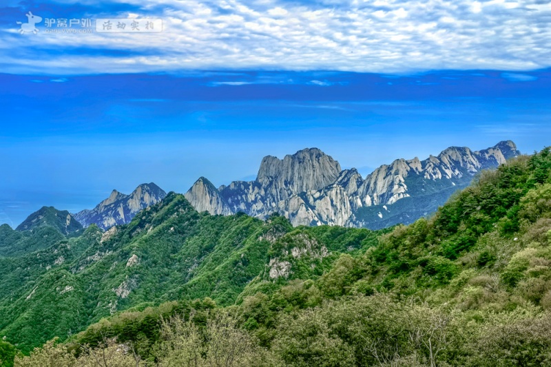 华阳草甸