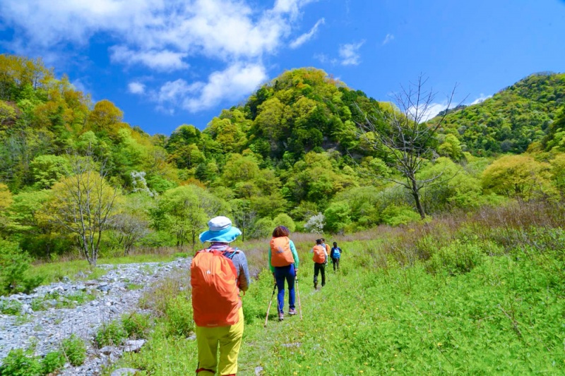 小峪草甸夏