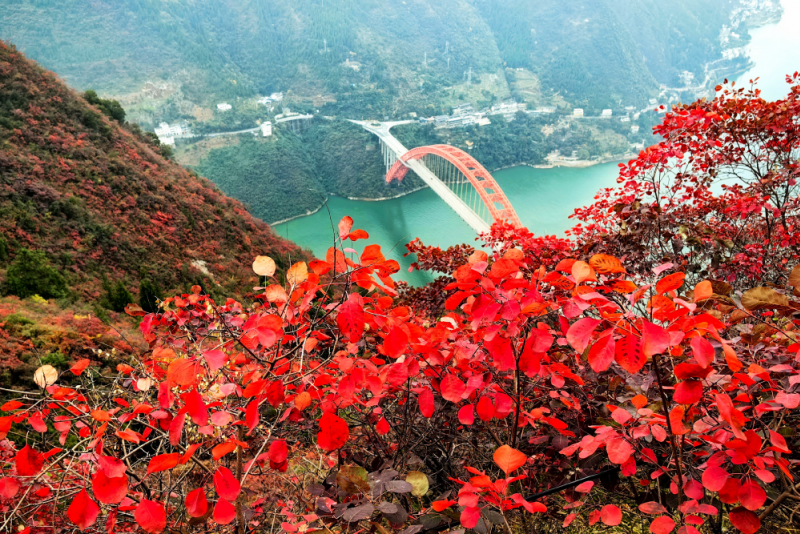 文峰景区