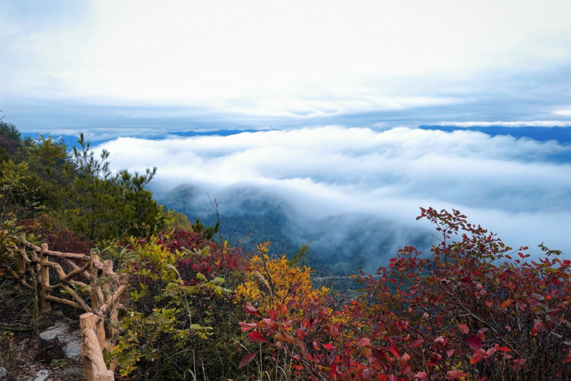 三峡之巅