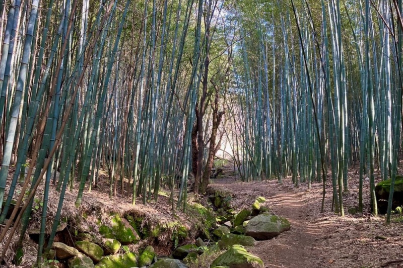 月亮沟塔盘沟