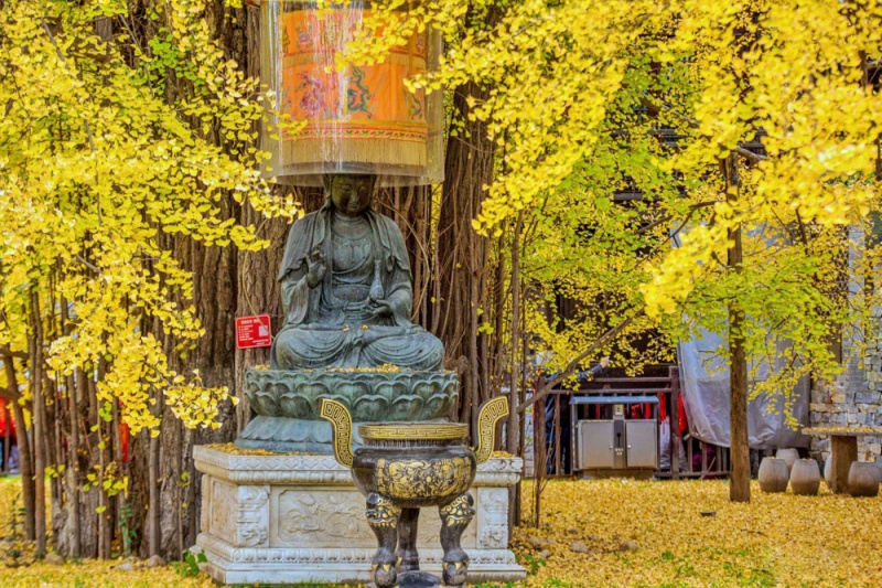 古观音禅寺