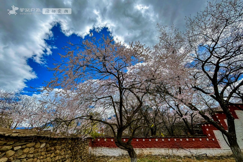 波密桃花沟