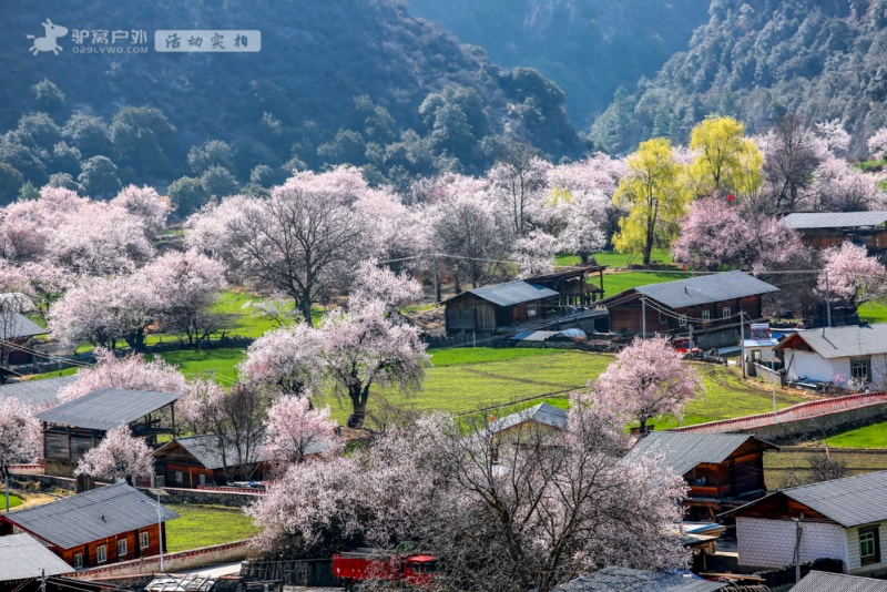 罗马桃花村