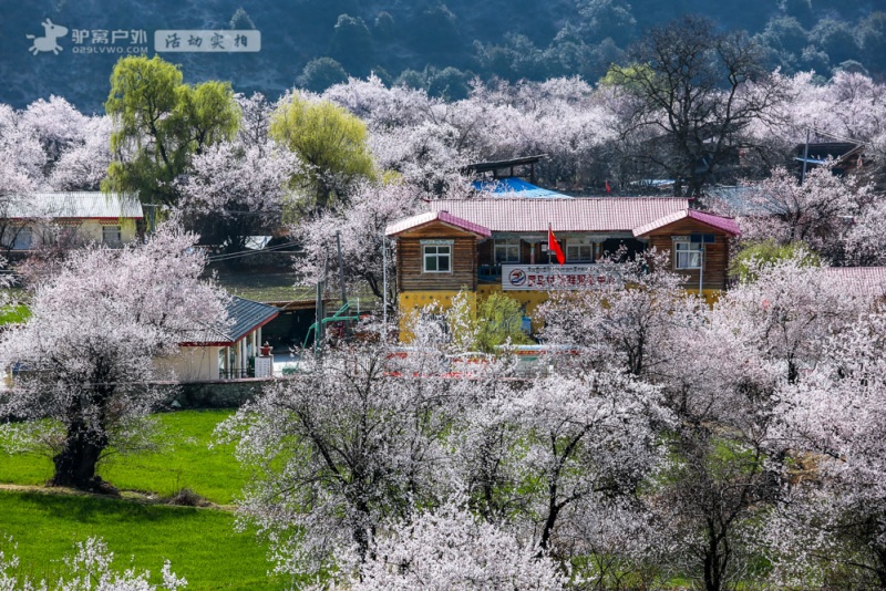 罗马桃花村