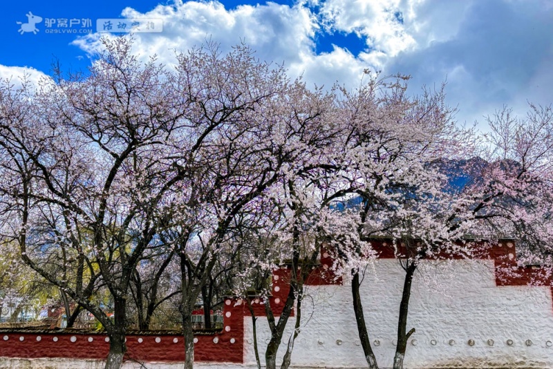 波密桃花沟