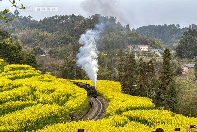 嘉阳小火车