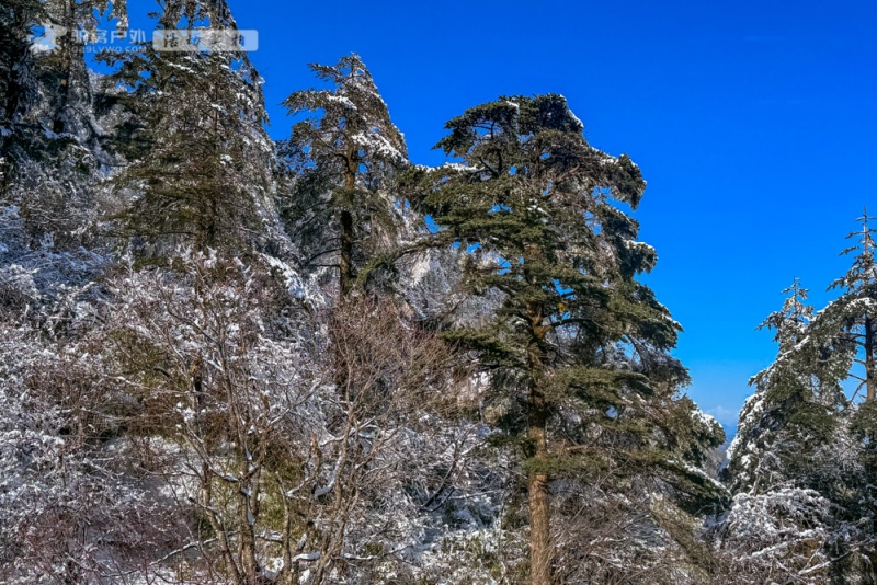 峨眉山