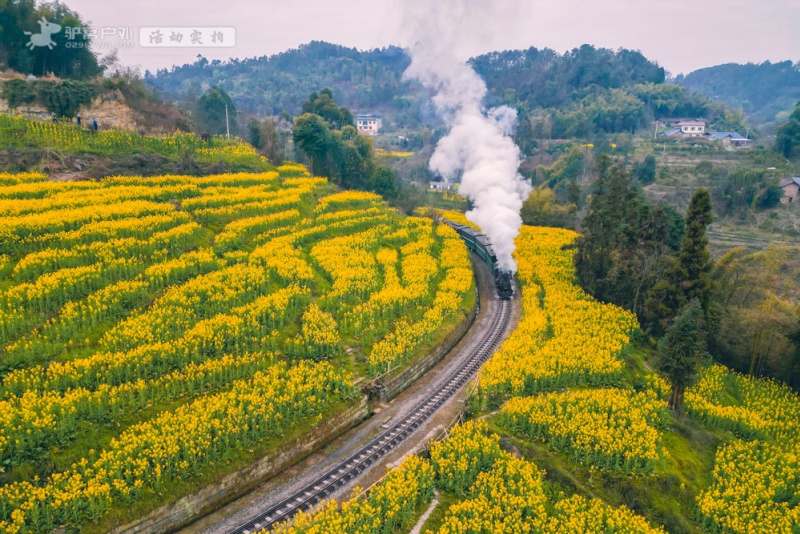 嘉阳小火车