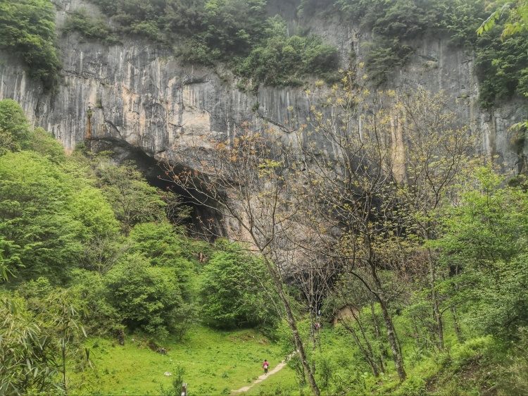 草甸上的小水潭开满野花的草甸原始森林地上布满了青苔树上挂满了绿萝